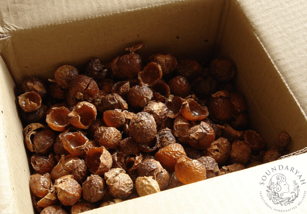 Reetha – Nature’s Shampoo for Healthy Hair