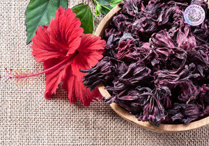 Deemed as one of the finest herbs in Ayurveda, Hibiscus plant as a whole plays a vital role in maintaining hair health.
