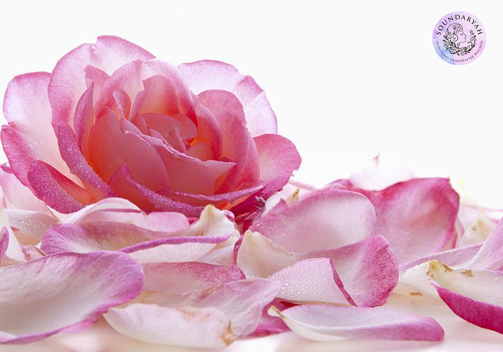 Stunning Benefits of Kannauj Rose for Glowing Skin and Silky Hair