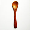 Wooden spoon - Soundaryah